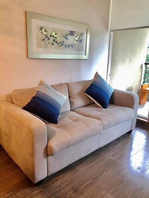 Apartamento Comodo Departamento 1 D 1b Pucón